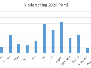 Balkendiagramm der Summen der Monatsniederschläge am Sylvensteinspeicher in Millimeter für das Jahr 2020. Auffallend ist der Niederschlagsschwerpunkt in den Sommermonaten.