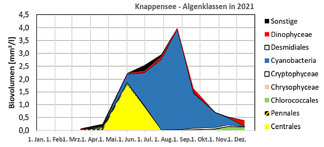 Gestapelte Flächengrafik mit den Biovolumina der verschiedenen Algenklassen der in 2021 im Riegsee untersuchten Phytoplanktonproben. Auffällige Entwicklungen werden im Text beschrieben.