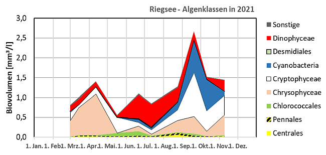 Gestapelte Flächengrafik mit den Biovolumina der verschiedenen Algenklassen der in 2021 im Riegsee untersuchten Phytoplanktonproben. Auffällige Entwicklungen werden im Text beschrieben.