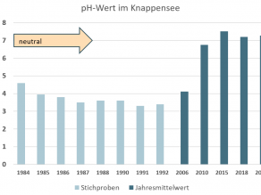 Von 1984 bis 1992 sind Stichprobenwerte dargestellt, von 2006 bis 2021 Jahresmittelwerte. Weitere Erläuterungen zu den Kenngrößen finden sich im Text.