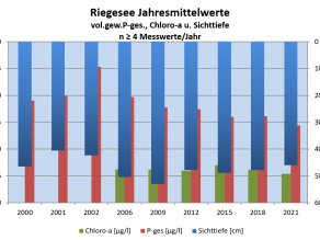 Die Zeitachse beginnt 2000 und endet 2021. Weitere Erläuterungen zu den Kenngrößen finden sich im Text.