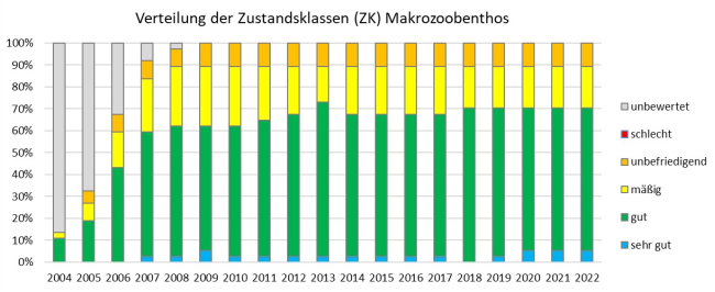 Grafik zu den Zustandsklassen (ZK) der Qualitätskomponente Makrozoobenthos an den Überblicksmessstellen (insgesamt 37) in den Jahren 2004 bis 2022. Weitere Erläuterung im nachstehenden Text.