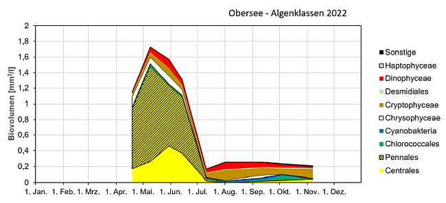 Gestapelte Flächengraphik mit den Biovolumina der verschiedenen Algenklassen der in 2022 im Obersee untersuchten Phytoplanktonproben. Auffällige Entwicklungen werden im Text beschrieben.