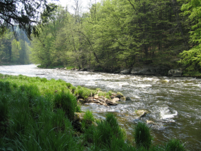 Ein Blick auf die Ilz.