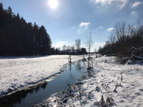 Der Landgraben im Winter