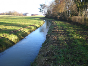 Gerader Verlauf des Bachs vorher