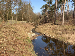 Nun ist der Eichenwaldgraben ein Fließgewässer