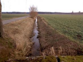 Bach verläuft gerade parallel entlang eines Weges, dazwischen wenige Gehölze. Daneben befinden sich Felder und Wiesen.