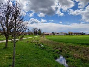 Naturnah verlaufender Bach mit Gewässerrandstreifen zwischen Weg und Feld sowie jungen Bäumen und Gehölzanpflanzungen. Im Hintergrund ein Ortsrand.