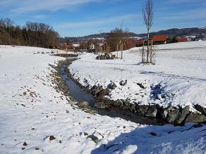 Schneebedeckte Fläche mit mittig verlaufendem Bach. Daneben hochstämmige Bäume.