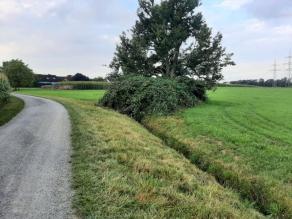 Begradigter Bach verläuft parallel entlang eines Kieswegs. Neben dem Bach steht ein Baum mit Unterwuchs. Daneben schließt Grünland an.