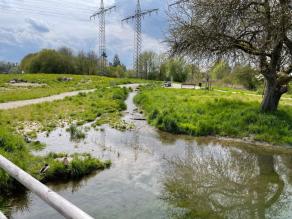 Ein kleiner Bach mündet in eine Aufweitung, daneben ein alter Obstbaum. Dahinter ein Weg mit Bänken und einer Infotafel.