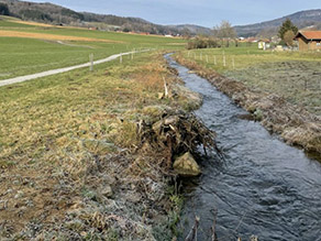 Gerade verlaufender Bach mit naturnah gepflegten Ufern, daneben Grünland. An einer Seite sind entlang eines Weges junge Obstbäume gepflanzt.