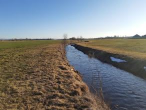 Begradigter Bach zwischen Grünland, am Ufer einzelne Gehölze.