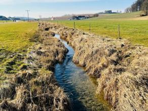 Naturnaher Bachlauf zwischen Altgrasstreifen. Anschließend befindet sich Grünland, im Hintergrund ist der asphaltierte Radweg zu erkennen.