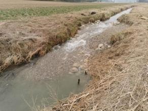Rauhe Rampe im Bach aus Wasserbausteinen und Kies. Das Wasser fließt ohne abgelösten Wasserstrahl über die Rampe und ist durchgängig.