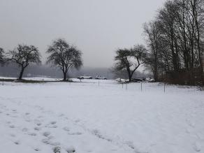 Schneebedeckte Fläche mit älteren Obstbäumen im Hintergrund. Der hier verrohrte, unterirdisch verlaufende Seelohbach ist nicht zu erkennen.