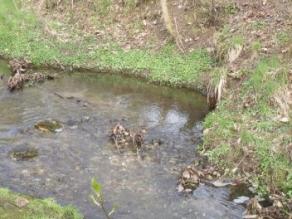 Bachlauf mit Aufweitung und Steinen und Kies im Gewässer. Die erhöhte Strömungsdiversität ist erkennbar.