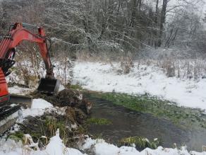 Ein Wurzelstock wird mit einem Bagger ins Ufer eines Bachs eingebaut.