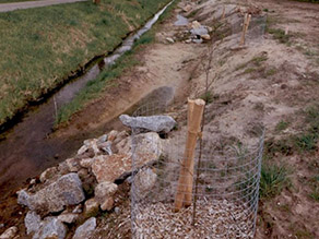 Neben einem gerade parallel entlang eines Weges verlaufenden Bachs befinden sich neu angelegte Gewässeraufweitungen mit Stillwasserbereichen, Biotopbausteinen aus Natursteinhäufen und gegen Biberverbiss geschützten Gehölzanpflanzungen.