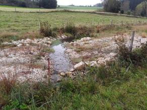 Das Wasser des Grabens quert den Weg oberflächlich in der Furt. Auf dem umgebenden Kiesweg sind Pflanzen angewachsen.