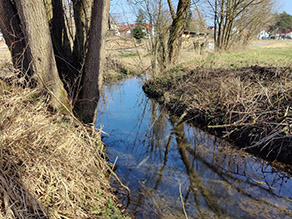 Bäume und Hochstaudenflur am Bach während der vegetationslosen Zeit. An der Bachsohle befindet sich Laub.