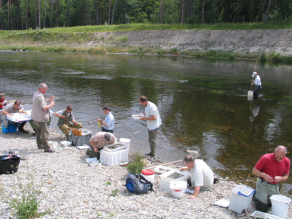 Mitarbeiter der Wasserwirtschaftsverwaltung an einem Fluss im Rahmen einer Vergleichskartierung zur Standardisierung und Angleichung der Probenahme.