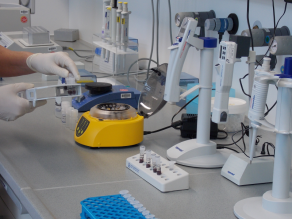 Untersuchungsgeräte zur Aufbereitung von Proben zur genetischen Analyse