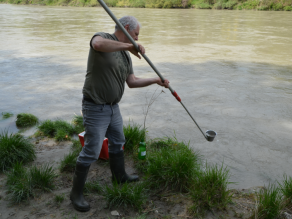 Ein Mitarbeiter des Wasserwirtschaftsamtes bei der Entnahme einer Wasserprobe an der Salzach.