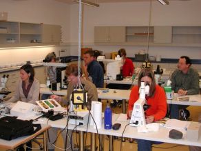 Bestimmungskurs - Personen bei einer biologischen Schulung am Mikroskop.