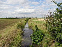 Entlang des Gewässers ist ein beidseitig ein Gewässerrandstreifen angelegt, der nicht acker-und gartenbaulich genutzt wird.