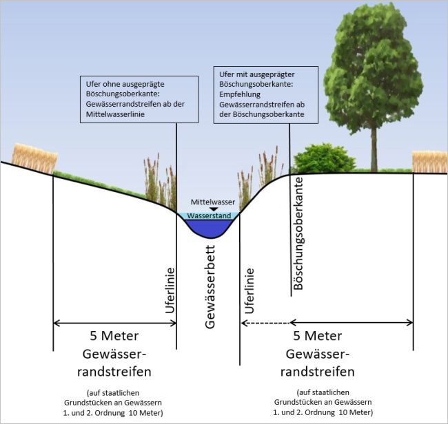 Der Querschnitt eines Gewässerrandstreifens an einem Gewässer ist dargestellt. Bei einem Ufer mit ausgeprägter Böschungsoberkante soll der 5 Meter breite Gewässerrandstreifen ab der Böschungsoberkante beginnen. Bei einem Ufer ohne ausgeprägte Böschungsoberkante soll der 5 Meter breite Gewässerrandstreifen ab der Mittelwasserlinie beginnen. Auf staatlichen Grundstücken an Gewässern 1. und 2. Ordnung ist der Gewässerrandstreifen 10 Meter breit.