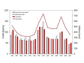 Linien und Balkengrafik.