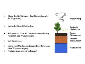 Die Messebenen der Beobachtung. In verschiedenen Tiefen werden Wasserproben genommen.