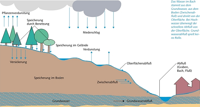 Eine Grafik erläutert den Wasserkreislauf (Verdunstung - Niederschlag - und Abfluss von Wasser)