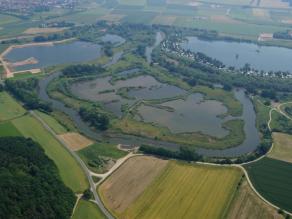 Luftbild von Unterbrunn nach der Renaturierung. Der Main durchfließt eine lange Schleife. Die Landschaft ist vielgestaltiger und dichter bewachsen.