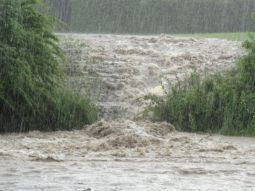Hochwasser schwillt aus einem Maisacker Hochwasser schwillt aus einem Maisacker