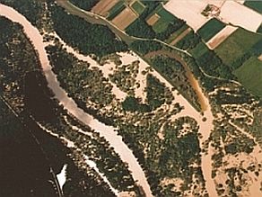 Luftbildaufnahme von einem überschwemmten Auewald