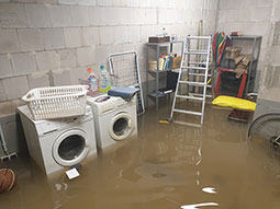 Eine Waschmaschine, ein Trockner und mehrere Kellerregale stehen etwa 20cm tief in braun-schmutzigem Wasser.