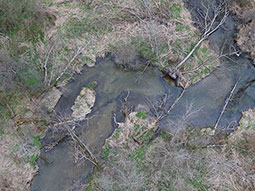 Ein senkrecht von oben natürlichen, mäandrierenden und verzweigten Gewässerlauf. Etliche umgestürzte Bäume sind als Totholz im und am Gewässer belassen worden.