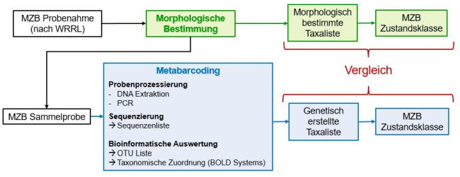 Erläuterung in nachfolgender Textdatei.