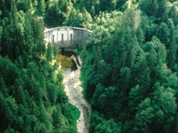 Die Luftaufnahme zeigt die 22 m hohe Staumauer der Ofenwaldsperre von Unterstrom inmitten des Bergwaldes.