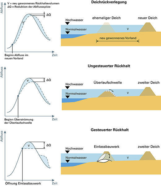 Die Grafik vergleicht die Wirkung dreier unterschiedlicher Maßnahmen: Deichrückverlegung, ungesteuerter Rückhalt und gesteuerter Rückhalt. Dabei sind auf der rechten Seite die Maßnahmen schematisch anhand von Querschnitten dargestellt, auf der linken Seite wird ihre Wirkung anhand der Abflussganglinien mit und ohne Maßnahme verdeutlicht. Die Scheitelreduktion ist beim gesteuerten Rückhalt am größten und bei der Deichrückverlegung, wo sich vor allem eine Verzögerung der Hochwasserwelle zeigt, am geringsten. Die Scheitelreduktion beim ungesteuerten Rückhalt liegt zwischen den beiden anderen Maßnahmen.