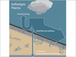 Skizze: auf versiegelten Flächenfließen nahezu drei Viertel des gefallenen Regens oberflächig ab, weniger als ein Viertel verdunstet und nur ein verschwindend kleiner Teil versickert.