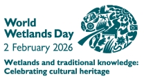 Logo des World Wetlands Day 2026 mit dem Datum 2. Februar 2026 und dem Motto "Wetlands and traditional knowledge: Celebrating cultural heritage". Daneben ein stilisiertes Teichrosenblatt, welches aus vielen kleinen Illustrationen wie Tieren, Pflanzen, Wasser und anderen Elementen zusammengesetzt ist.