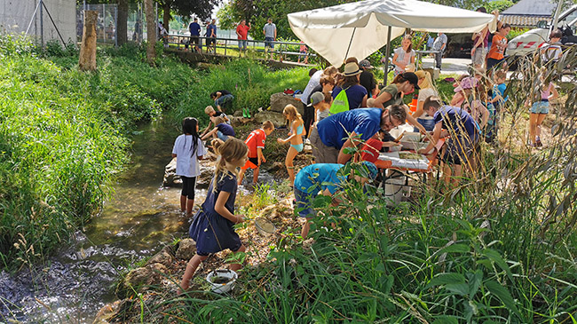 Kinder untersuchen die Kleine Paar mit Keschern. Am Bachufer sind Tische und Bänke aufgebaut an denen Gewässertiere bestimmt werden. Im Hintergrund führt eine Fußgängerbrücke über den Bach.