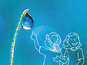 Bildmontage eines Grashalms mit Wassertropfen und einer Strichzeichnung von Kindern