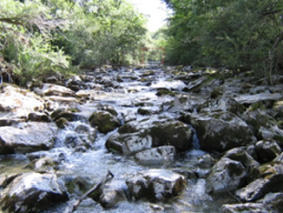 Große Felsbrocken liegen in einem Flussbett