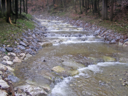 Ein Fluss fließt über mehrere Schwellen